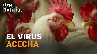 Thumbnail del capítulo