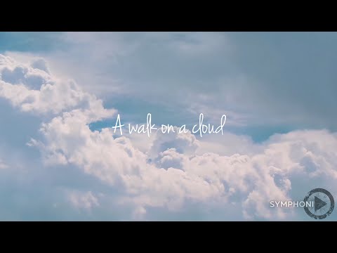 A walk on a cloud - A dream selected by Symphonia