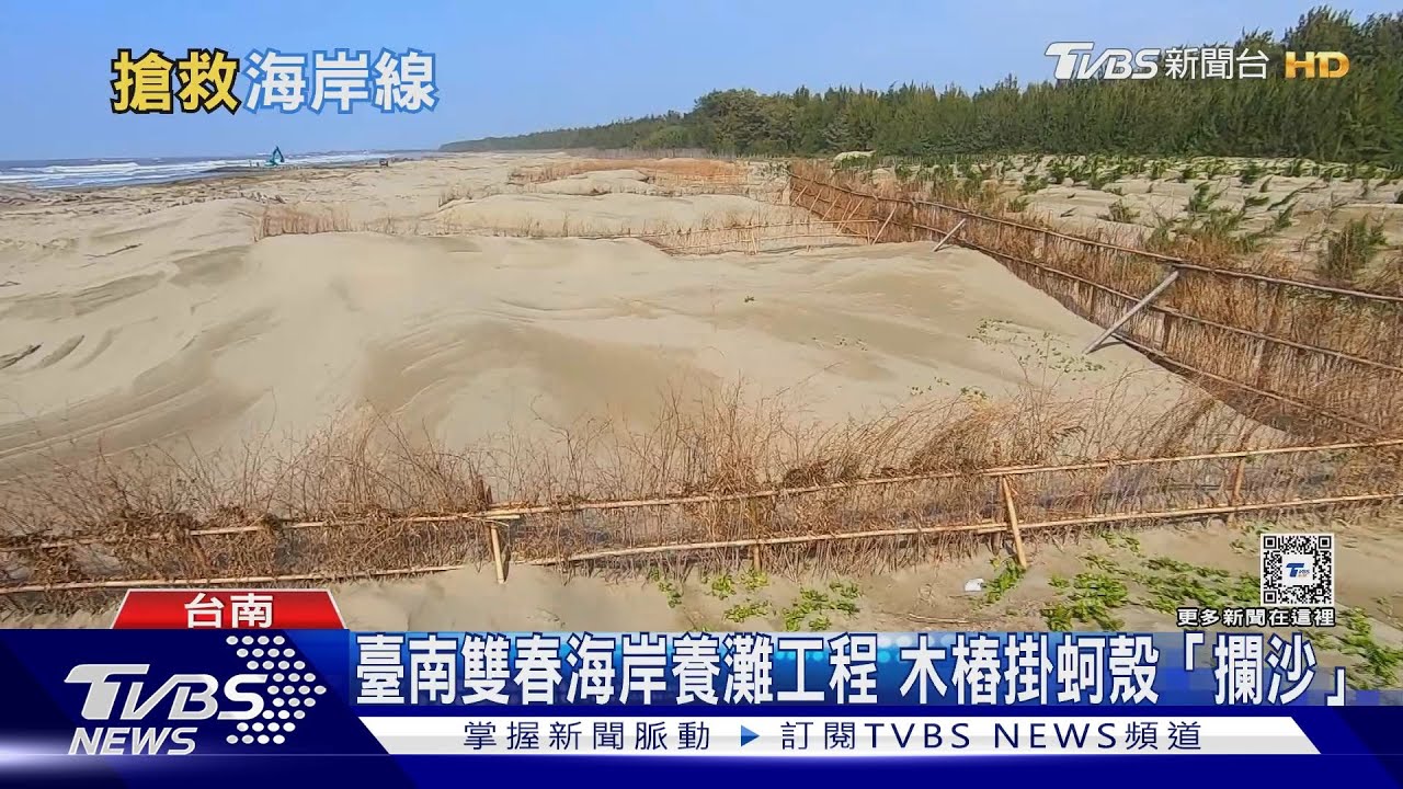 搶救七股潟湖大作戰! 生態工法「減浪柵」減緩漂沙