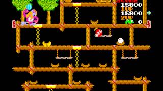 Arcade Game: Chameleon (1983 Jaleco)