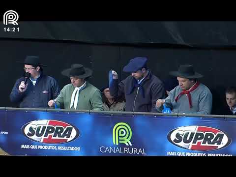 Final Freio de Ouro (RS) – 1° lugar machos – JA Libertador (Prova: Mangueira II)