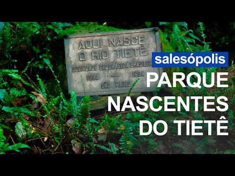 Parque Nascentes do Tietê: Preservação do rio que fez a história do Estado