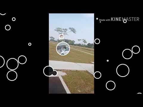 Timi Bina mandaina yo man