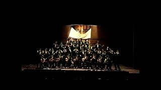 El pájaro verde – Segunda Semifinal – COAC 2003