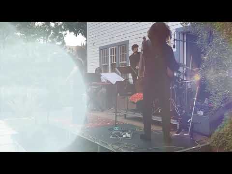 Thumbnail for Freda Payne Sings Live in Santa Monica November 2020 by Freda Payne