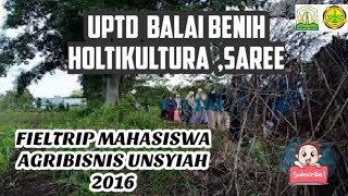 preview picture of video 'FIELTRIP AGRIBISNIS UNSYIAH UPTD Balai Benih Hortikultura Saree'