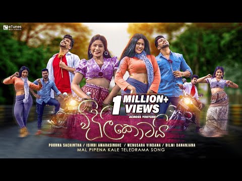 Viduli Kotai (විදුලි කොටයි) | Reprise Version | Mal Pipena Kale Teledrama Song | eTunes