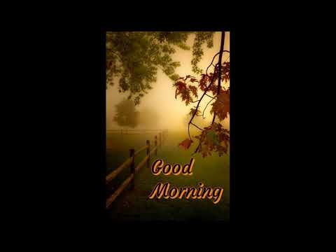 Beqaaboo - Official Video | Gehraiyaan | Deepika Padukone, Siddhant, Ananya, Dhairya | OAFF, Savera