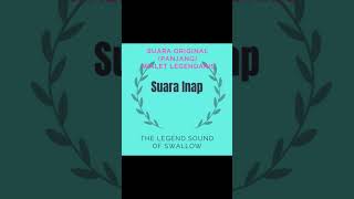Download lagu Suara Legenda Pikat Inap Burung Walet Anak Borneo versi Original mp3 Download lagu Suara Legenda Pikat Inap Burung Walet Anak Borneo versi Original mp3