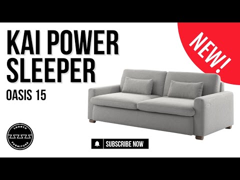 Kaiyo Sleeper Sofa