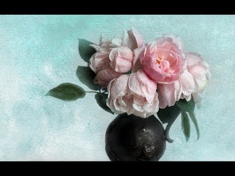 ❀ O šípkových růžích ❀ [HD]