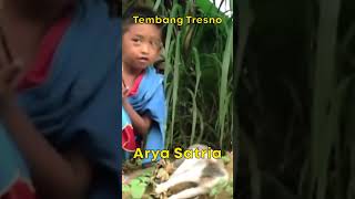 Download lagu Arya Satria - Tembang Tresno #Shorts mp3