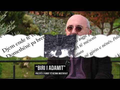 Vitrina e Librit, 12 Nëntor 2017