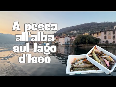 FISHING AT DAWN ON LAKE ISEO