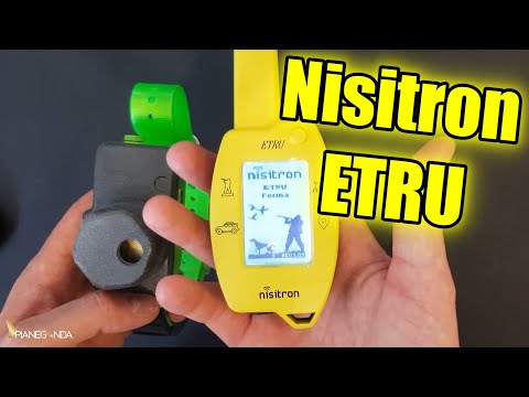 Nisitron ETRU 💚🏆*SATELLITARI PER CANI*🏆💚