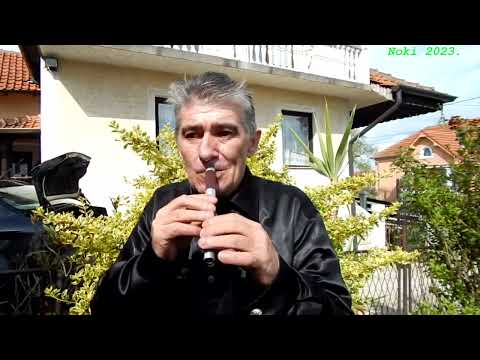 Novica Djordjević frula 2023