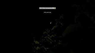 Download lagu sivantha kangal..❤️||#tamilwhatsappstatusvideos||#skies.stories_||#shorts mp3