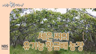 [나는농부다 271회] 세은 씨의 유기농 황금배 배 농장