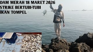 Download lagu Mancing dam merah Tj Priok mp3