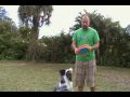 Butterfly Throw For Disc Dogs