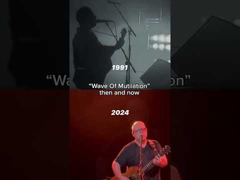 Wave of Mutilation through the years 🌊 #Pixies #WaveOfMutilation #LiveMusic