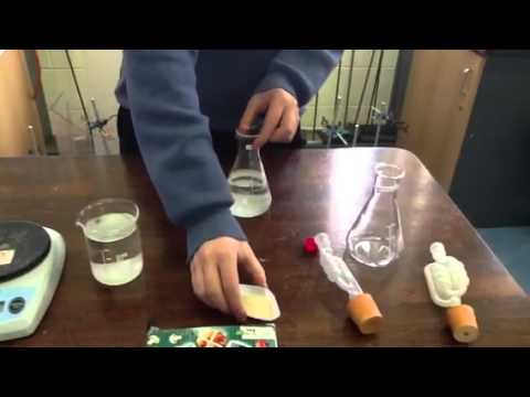 Anaerobic Respiration by Yeast