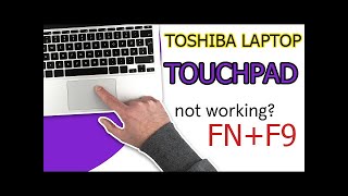 TOSHIBA LAPTOP TOUCHPAD NOT WORKING/DISABLE SOLUTION