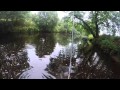 Catching a Sea Trout on the river Allan 