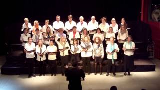 Vasastans Sångkör - Varje gång jag ser dig