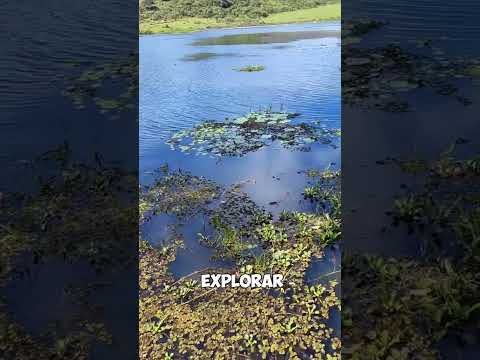NuestraTierra Moyuta  Jutiapa