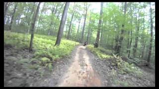 preview picture of video 'Rocky Gap 9/18/2010 - Allegheny National Forest'