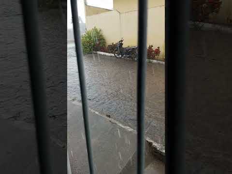 Dia 3 de Dezembro com chuva aqui em pombos Pernambuco #vidanaroça #sitio