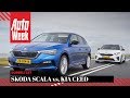 Kia Ceed vs. Skoda Scala - AutoWeek Dubbeltest - English subtitles
