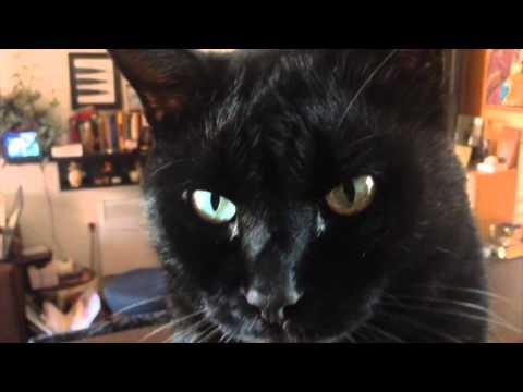 DJ MC NIGGOR @ Savin Mali, subota 12.12.2015.