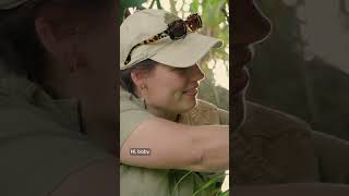 The remarkable resilience of this possum mother | Rescue Diaries