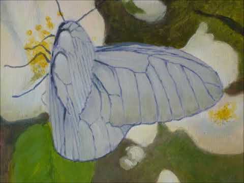 У пруда  2019 год