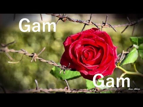 GAM GAM canto ebraico con TESTO