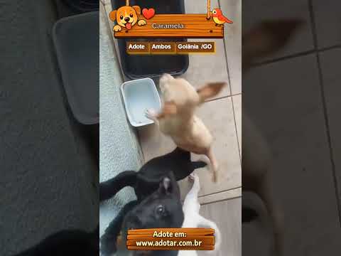 Vídeo de Caramela