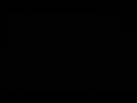 Ritchie Valens' Donna Song ( Interracial ♥️ Hit)