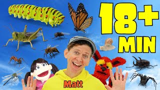 Bugs Long Play | What Do You See? Song | Pop Sticks Songs