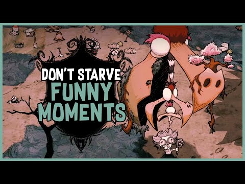 Old Man Is Terrorised by Birds | Don't Starve Funny Moments (Hamlet/Shipwrecked/Reign of Giants)
