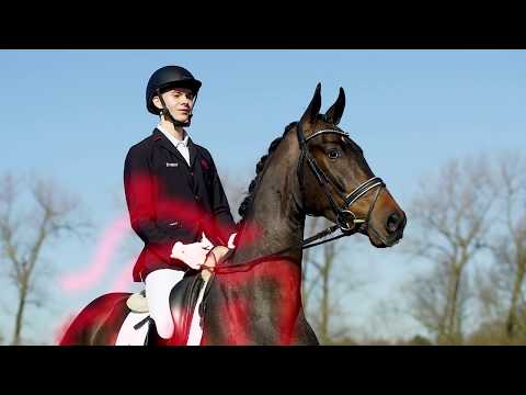 37 Shino Wallach v. Sunday - Florestan I