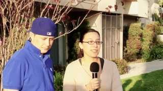 Reviews for Ecstasy, The Secrets of Endless love