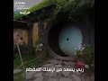 Saquer