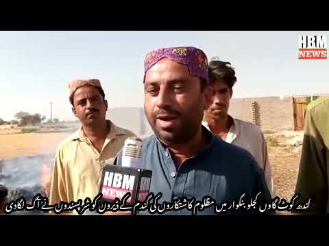Influential | miscreants burnt 300 manats of wheat |  of Kandhkot | farmers to ashes