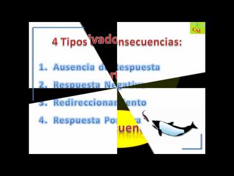 Bien Hecho Ken Blanchard