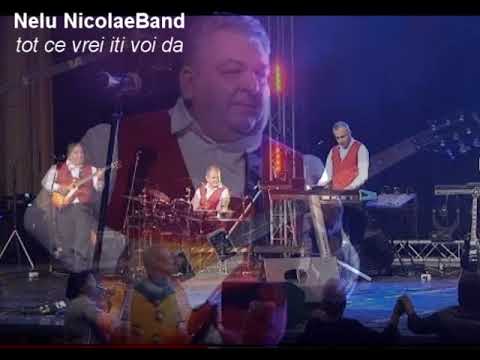 Nelu NicolaeBand  -Tot ce vrei iti voi da