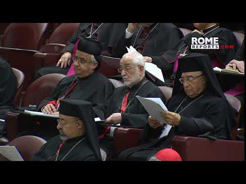Nuevo documento vaticano sobre ideología de género