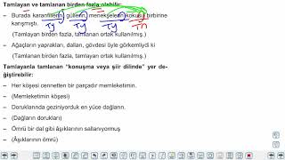 Eğitim Vadisi 10.Sınıf TDE 12.Föy Tamlamalar  Konu Anlatım Videoları