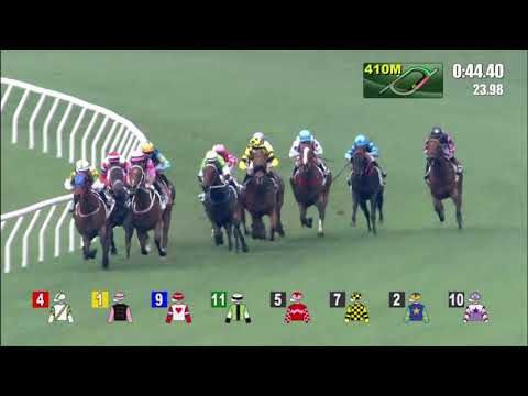 5/4/2021 (559) Regency Bo Bo - Z Purton